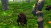 Survival Simulator