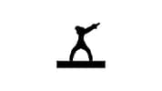 Swing Ninja