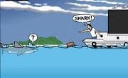 Sydney Shark