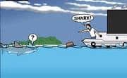 Sydney Shark Jogue Sydney Shark em Crazy Games
