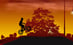 Twilight BMX
