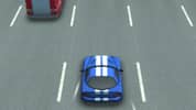 Wild Race