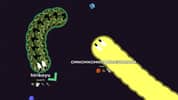 Worm.is